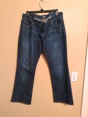 Diva Dark Blue Flare Jeans